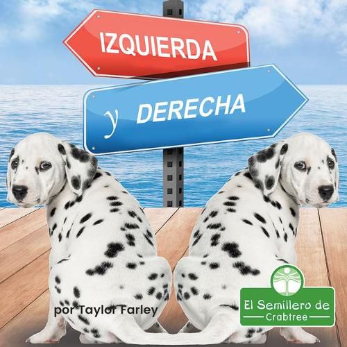 Cover image for Izquierda Y Derecha