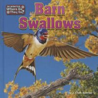 Cover image for Barn Swallows