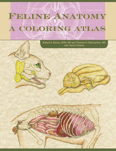 Cover image for Feline Anatomy: A Coloring Atlas