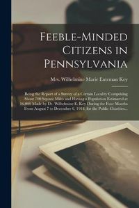 Cover image for Feeble-minded Citizens in Pennsylvania; Being the Report of a Survey of a Certain Locality Comprising About 700 Square Miles and Having a Population Estimated at 16,000 Made by Dr. Wilhelmine E. Key During the Four Months From August 7 to December 6, ...