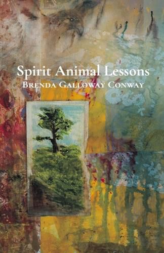 Cover image for Spirit Animal Lessons