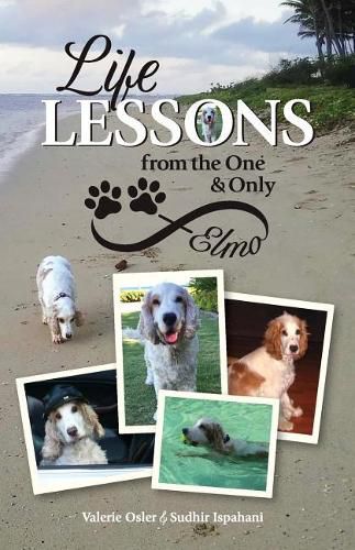 Cover image for Life Lessons from the One and Only Elmo