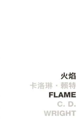 Cover image for Flame