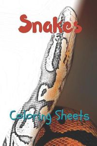 Cover image for Snake Coloring Sheets
