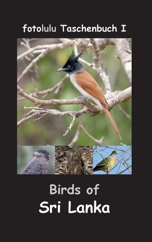 Cover image for Birds of Sri Lanka