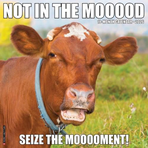 Cover image for Not in the Mooood 2026 12 X 12 Wall Calendar