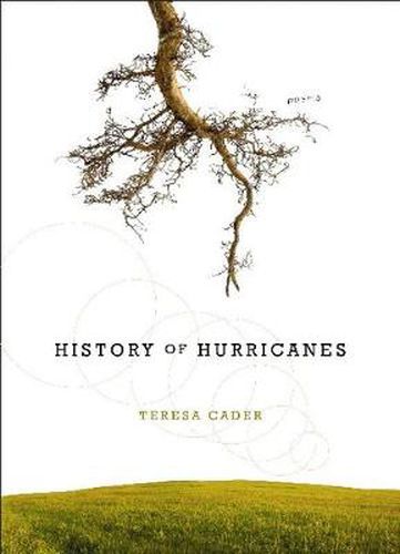 Cover image for History of Hurricanes: Poems