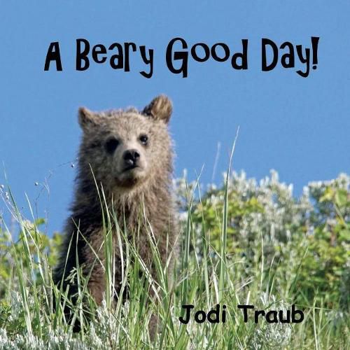 Cover image for A Beary Good Day