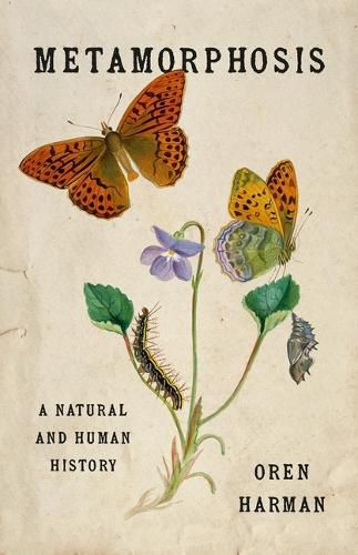 Cover image for Metamorphosis
