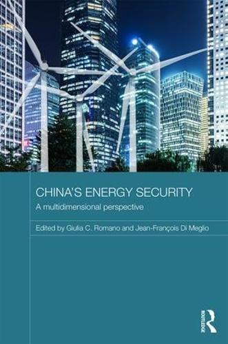 Cover image for China's Energy Security: A Multidimensional Perspective