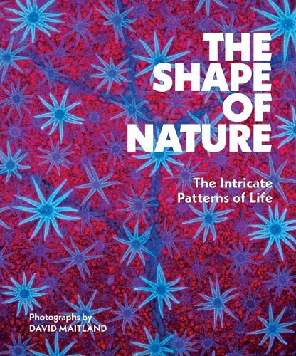 Cover image for The Shape of Nature