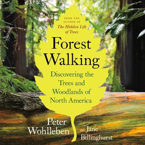 Cover image for Forest Walking: Discovering the Trees and Woodlands of North America: Discovering the Trees and Woodlands of North America