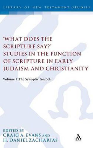 Cover image for What Does the Scripture Say?' Studies in the Function of Scripture in Early Judaism and Christianity: Volume 1: The Synoptic Gospels