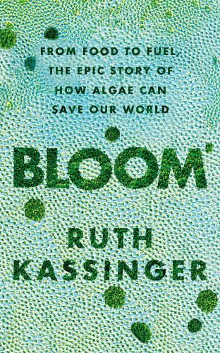 Cover image for Bloom