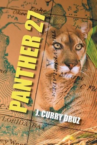 Cover image for Panther 27