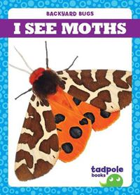 Cover image for I See Moths