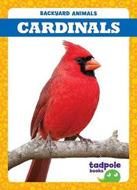 Cover image for Cardinals