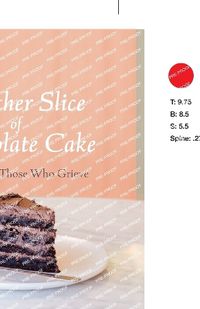 Cover image for Another Slice of Chocolate Cake