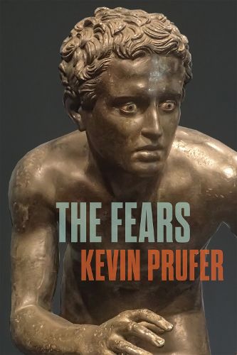 Cover image for The Fears