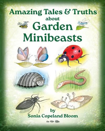 Cover image for Amazing Tales &Truths about Garden Minibeasts