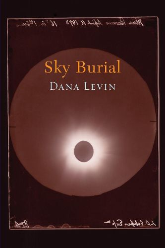 Cover image for Sky Burial