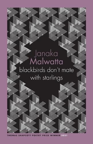 Cover image for blackbirds don't mate with starlings