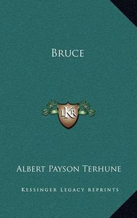 Cover image for Bruce