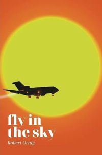 Cover image for Fly in the sky