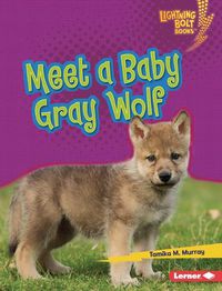 Cover image for Meet a Baby Gray Wolf