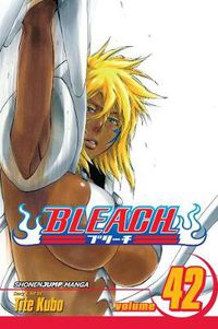 Cover image for Bleach, Vol. 42