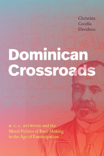 Cover image for Dominican Crossroads