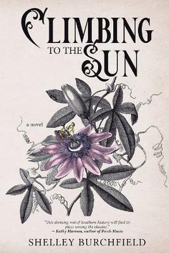 Cover image for Climbing To The Sun