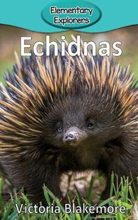 Cover image for Echidnas