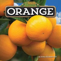 Cover image for Orange