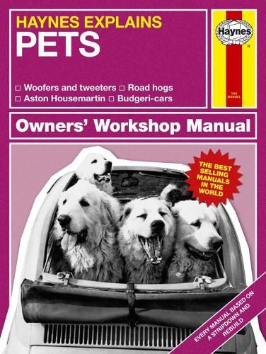 Pets: Haynes Explains