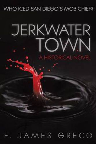 Cover image for Jerkwater Town