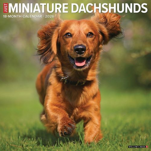 Cover image for Miniature Dachshunds 2026 Wall Calendar