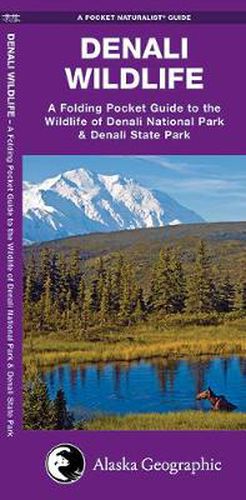 Cover image for Denali Wildlife: A Folding Pocket Guide to the Wildlife of Denali National Park & Denali State Park