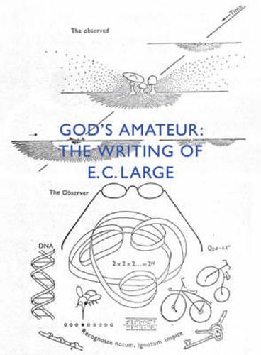 Cover image for God's Amateur: The Writing of EC Large