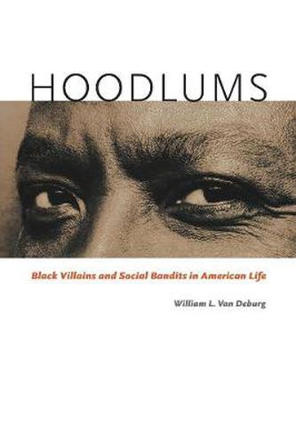 Cover image for Hoodlums: Black Villains and Social Bandits in American Life