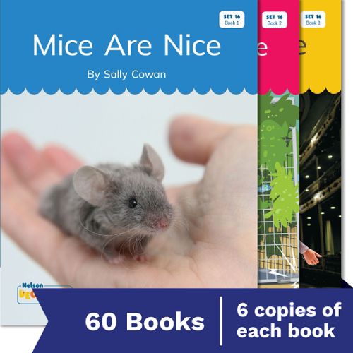 Cover image for Nelson Decodable Readers Set 16 Soft c & g / Trigraphs / Jobs of y Small Group Pack X 60