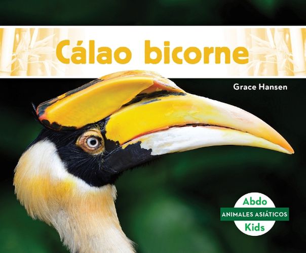 Cover image for Calao Bicorne