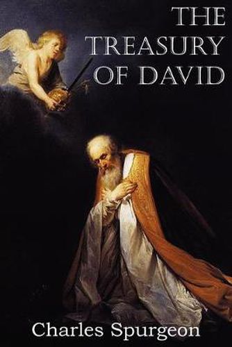 Cover image for The Treasury of David