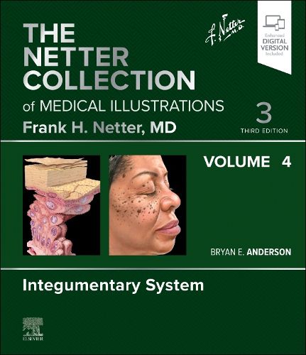 Cover image for The Netter Collection of Medical Illustrations: Integumentary System, Volume 4