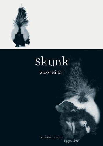 Cover image for Skunk