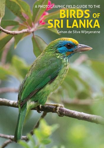 Cover image for The Birds of Sri Lanka: A Photographic Field Guide (2nd edition)