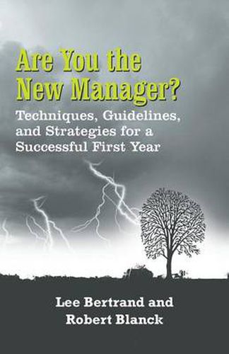 Cover image for Are You the New Manager?