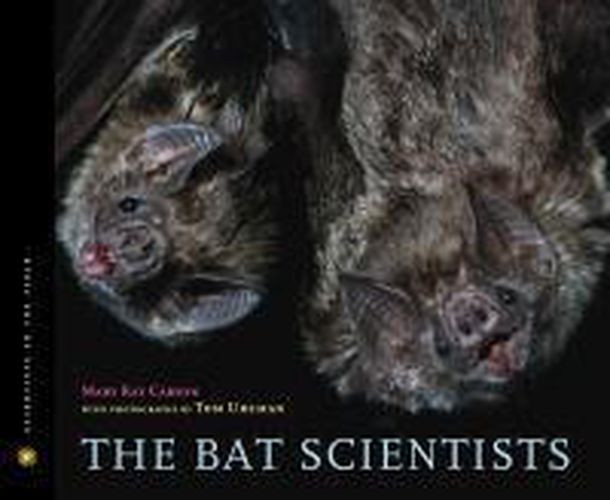 Cover image for The Bat Scientists