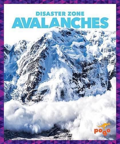 Cover image for Avalanches