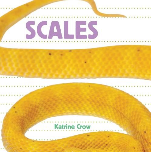 Cover image for Scales